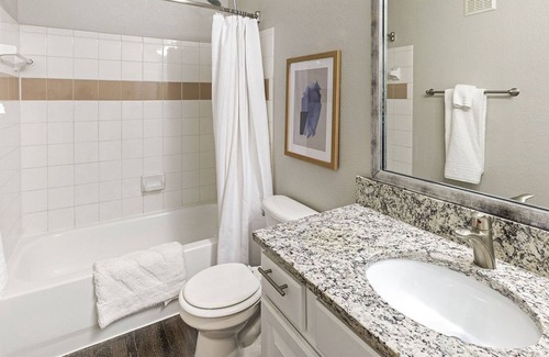 Fort Worth Apartment | Modern Apartment in Prime Location (ID8657X03)
