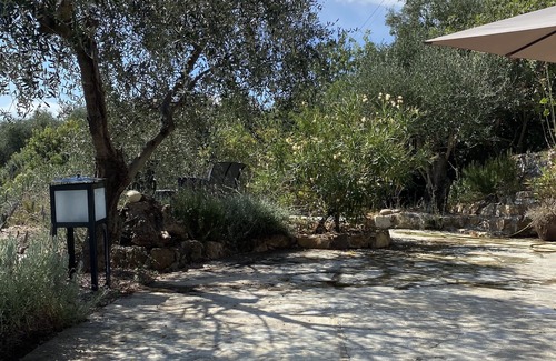 Vasia House | Modern architect's house in olive grove with sea views