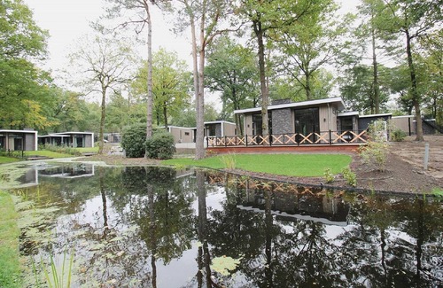 Bosgebied Hoenderloo House | Modern Lakeview Cottage in Veluwe