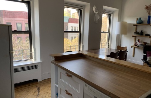 Prospect Heights Apartment | Modern Luxury Brooklyn. Best Prospect Hts/Park Slope Location. One Bedroom.