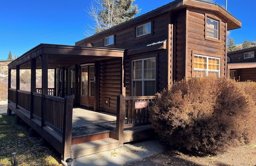 Almont Cabin | Modern "Tiny Home" Style Cabin on Taylor River with Private Fishing Access