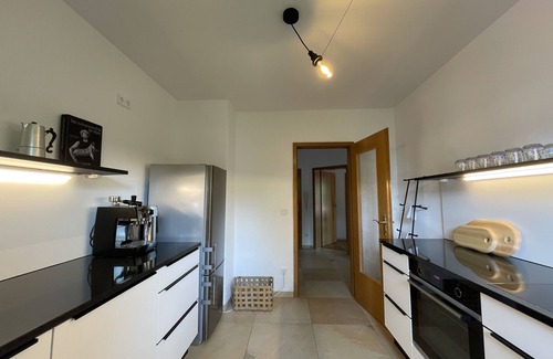 Untergrainau Apartment | Modern vacation apartment with Zugspitze view