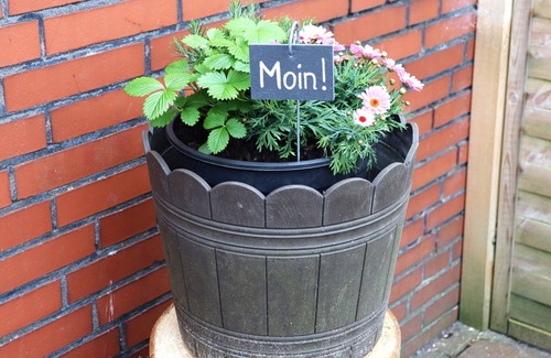 Holtgast Apartment | MOIN and a warm welcome Vacation in beautiful East Frisia