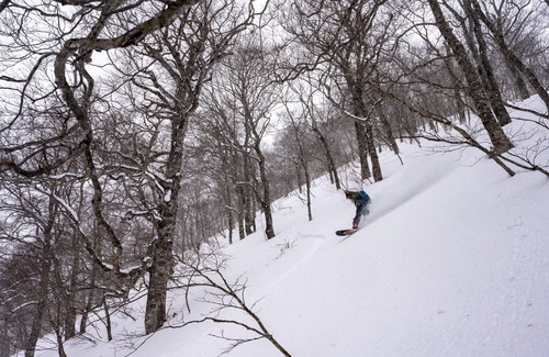 Minakami House | Momi-no-Ki Lodge. Private lodge ideal for groups.