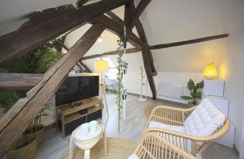Sens Apartment | Mon Rêve - By BEST KEYS - Loft Cosy & Charme Authentique - Poutres Apparentes - Centre Ville - Netflix & WiFi Fibre - Smart TV - Machine à Café Nespresso - Check-in Autonome - Parking Facile & Gratuit