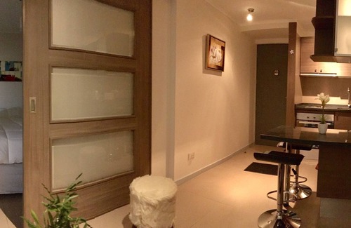 Downtown Santiago Apartment | Moneda Express Apart