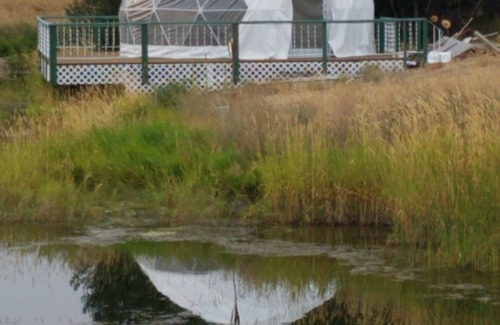 Florence Cabin | Montana Mountain Memories Geodome 20ft Glamping & Fish Pond