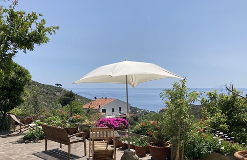 Campo nell'Elba House | Montecristo two-room apartment.Terrace