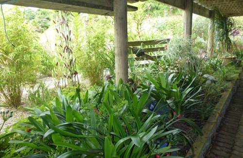 Kawhia Apartment | Monty's self-contained unit
