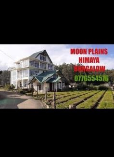 Nuwara Eliya Hotel | Moonplains Himaya Bungalow