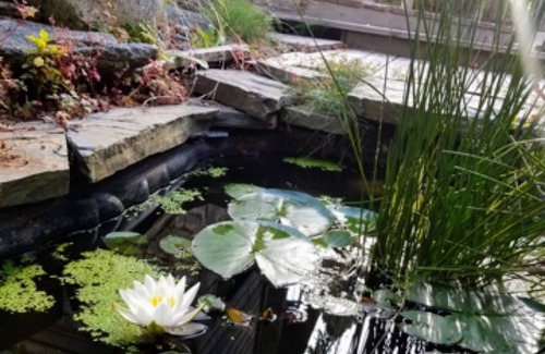 Westhaven-Moonstone House | Moonstone Sanctuary: Serene Retreat Near Moonstone Beach