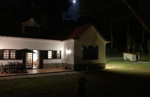 Mucifal House | Moradia no Pinhal com Piscina - Espaço e Privacidade para as suas Férias!