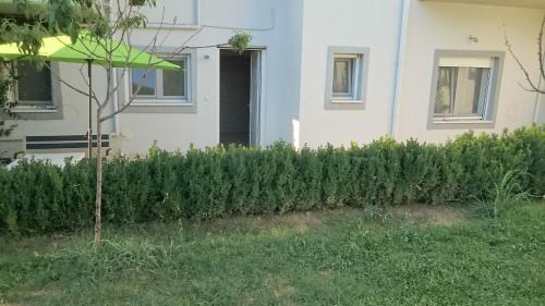 Ioannina Apartment | Morfeas GR
