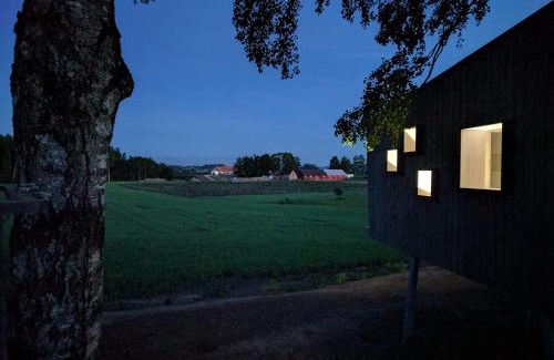 Mulgi Parish Other | Mornamaa puumaja Pesä 2