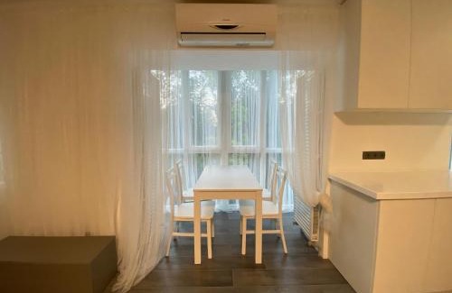 Dnipro Apartment | Most City Area Center Charming apartment