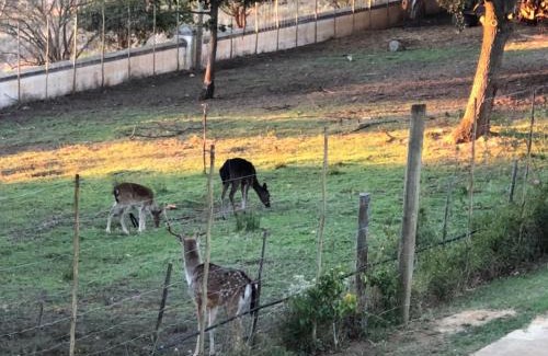 Wolseley House | Mosterts Hoek Guest House