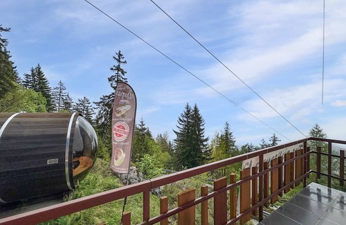 Monteiller Apartment | Mountain Bliss, view and Sauna - Swiss Alps