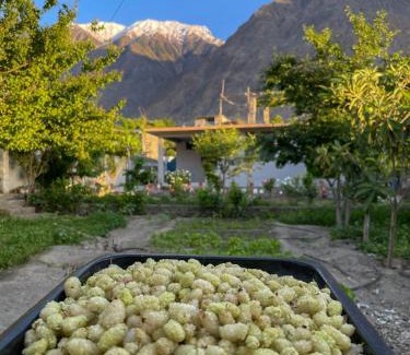 Gilgit-Baltistan Apartment | Mountain Dale Guest House