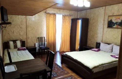 Plavya Hotel | Mountain dew