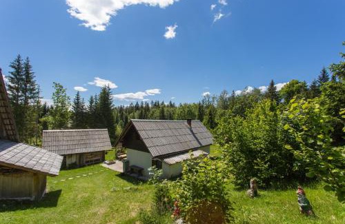 Studor Ski Chalet | Mountain house MINKA