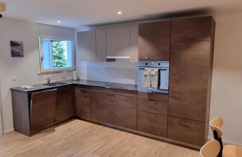 Wilderswil Apartment | Mountain-Lake Apartment 2