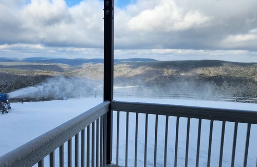 Snowshoe Condo | Mountain Lodge 162 - Ski-in/Out - Mtn View - Pvt Parking