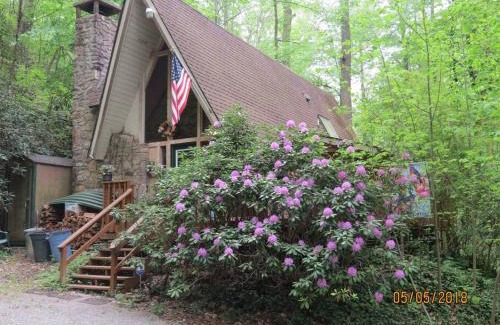 Chalet Village Ski Chalet | Mountain Springs Chalet - Cozy, Private, Original A-Frame Chalet with access to Buckberry Cree, Views of the Hardwood Forest, very close to Ober Gatlinburg, the Great Smoky Mountains National Park, and Downtown Gatlinburg in the Smokies