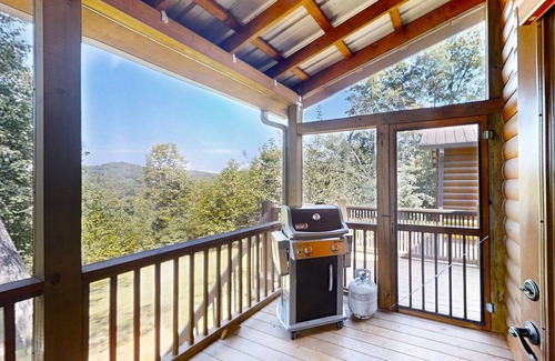 Murphy Cabin | Mountain-view cabin with screened deck, dog-friendly yard, firepit & fireplace