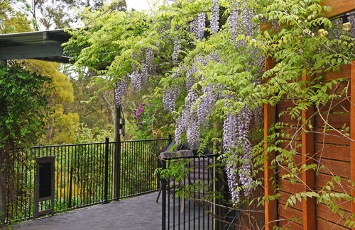 Mount Evelyn Apartment | Mountain View Retreat, self contained, private and pet friendly