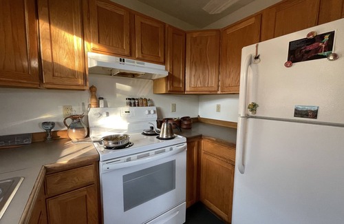 Leadsville Apartment | Mountain View