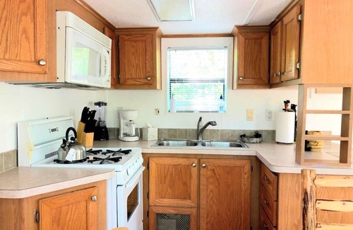 Whittier Cabin | Mountain Views Cabin with Loft WiFi Pets Casino Fire pit Tesla Charger