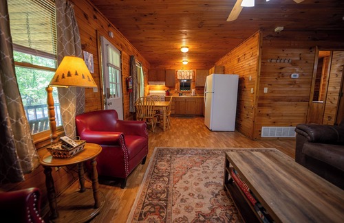 Hico Cabin | Mountaineer Cabin 2 - Hot Tub & Fireplace close to New River Gorge National Park