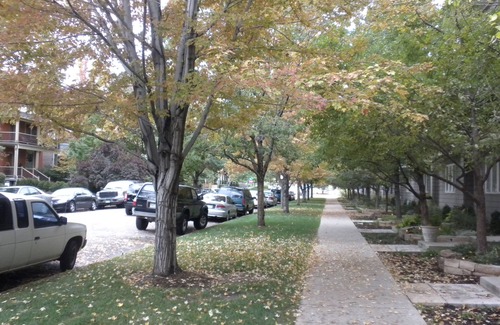 City Park West Apartment | Must See! CLEAN Charming Quiet, Walk/Bike Everywhere #3