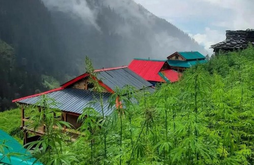 Kullu House | Muzik Cafe and Homestay