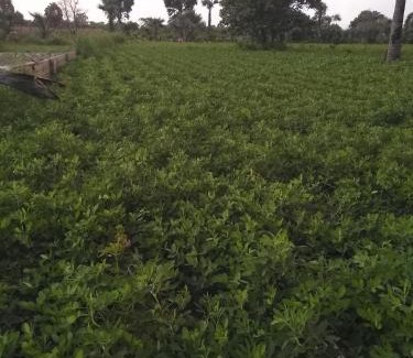 West Coast Division Apartment | My home