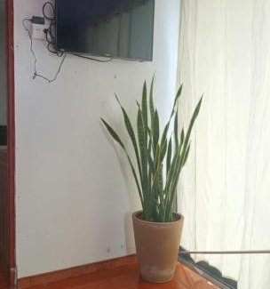Pacuare Reserve Apartment | Nómadas del Pacífico