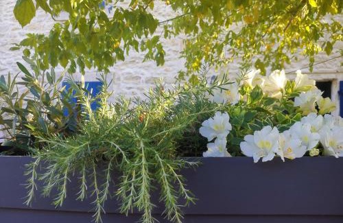 St.-Remy-de-Provence Villa | Namaste Home, votre havre de paix à St Rémy ! Parking wifi inclus
