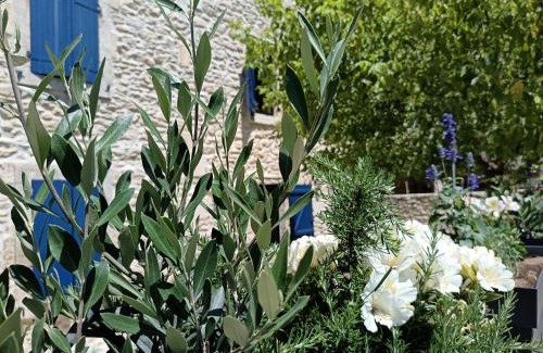 St.-Remy-de-Provence Villa | Namaste Home, votre havre de paix à St Rémy ! Parking wifi inclus
