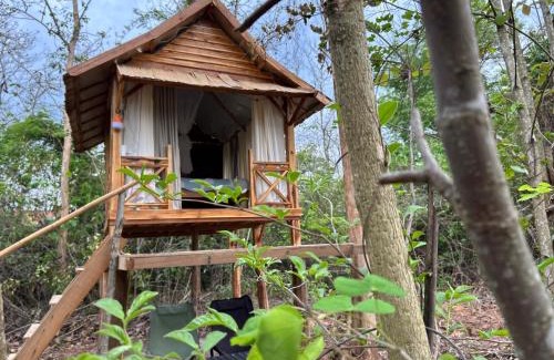 Luang Prabang Other | NamKhan Horses Stables