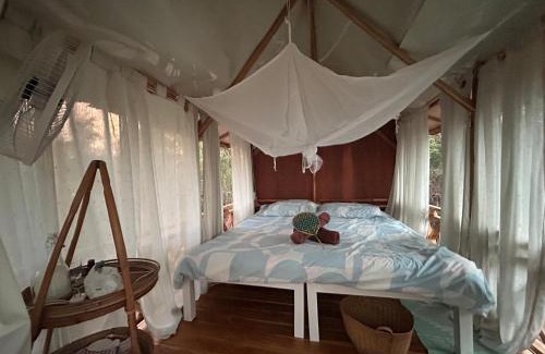 Luang Prabang Other | NamKhan Horses Stables