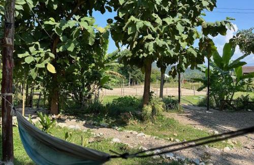Luang Prabang Other | NamKhan Horses Stables