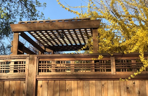 Siskiyou-Hargadine Historic District House | Nancy's Garden Cottage - 1. 5 Blocks to Downtown