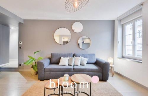 Poincare - Foch - Anatole France - Croix de Bourgogne Apartment | Nancy : Superbe F3 80m2 Centre Gare 6 Voyageurs
