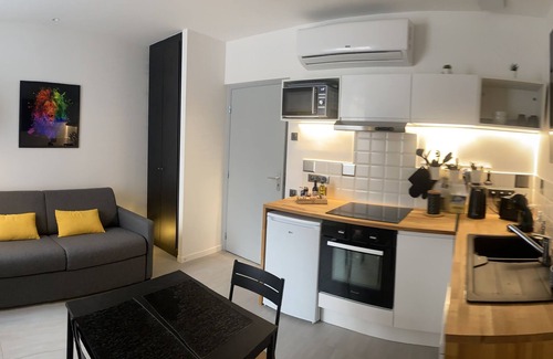 Poincare - Foch - Anatole France - Croix de Bourgogne Apartment | Nancy Thermal Blandan : Suite Stanislas