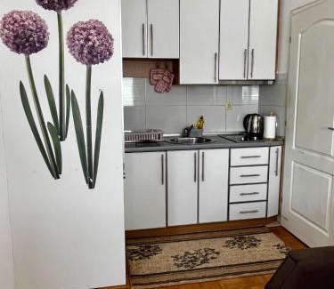 Doboj Apartment | Nataša