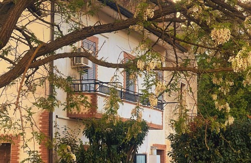 Faicchio House | Nature Refuge | Relaxation and Wellness in the Countryside