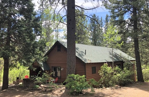 Blairsden-Graeagle Cabin | Nature Sabbatical ~ Peaceful Cabin on 40 Acres along Feather River