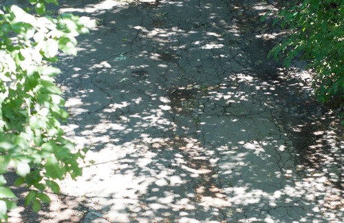 West Cambridge Apartment | Near scenic Fresh Pond, Charles river, shops, Harvard Sq access , Free parking