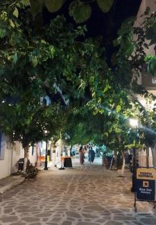 Fournoi Apartment | Nektaria on the Beach