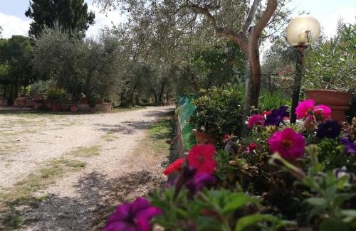 Colle di Val d'Elsa Apartment | Nel Chianti lungo la Francigena